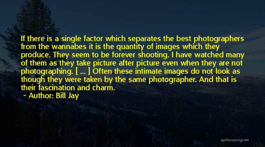 Photographer Best Quotes By Bill Jay