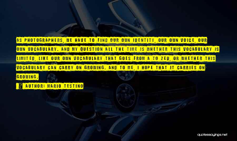 Photographers Quotes By Mario Testino