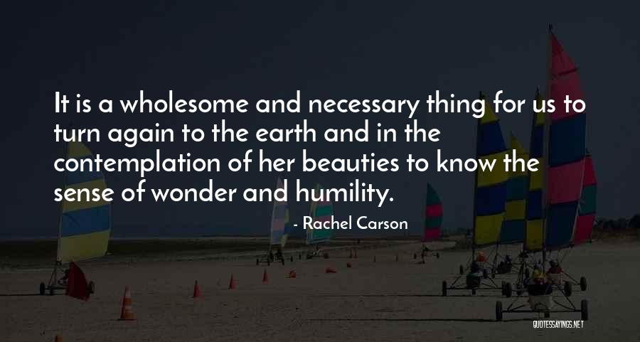 Photographs To Paint Quotes By Rachel Carson Photographs To Paint Quotes By Rachel Carson