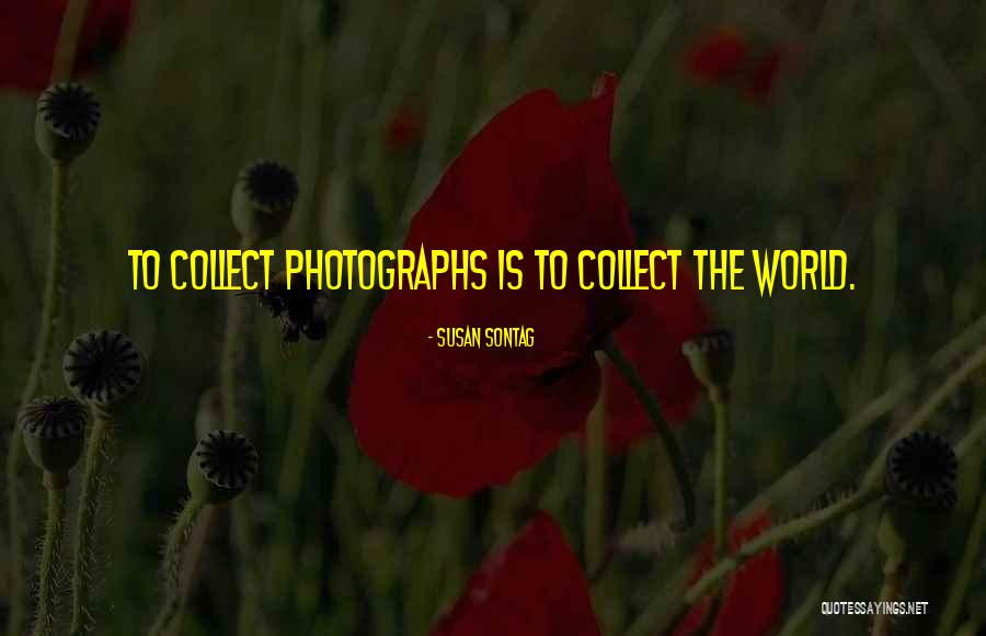 Photographs To Quotes By Susan Sontag Photographs To Quotes By Susan Sontag
