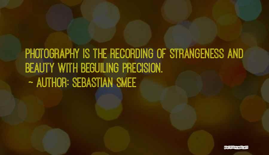 Photography And Beauty Quotes By Sebastian Smee