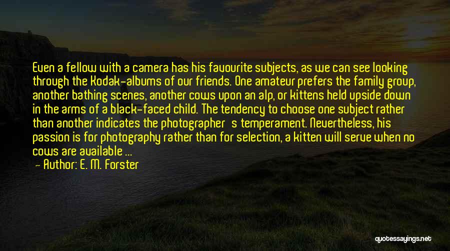 Photography And Friends Quotes By E. M. Forster