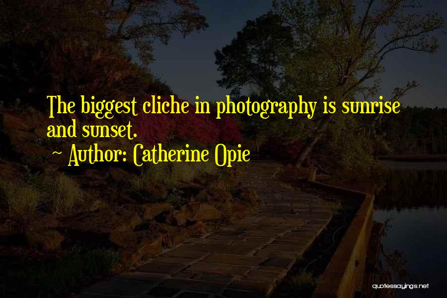 Photography And Sunset Quotes By Catherine Opie