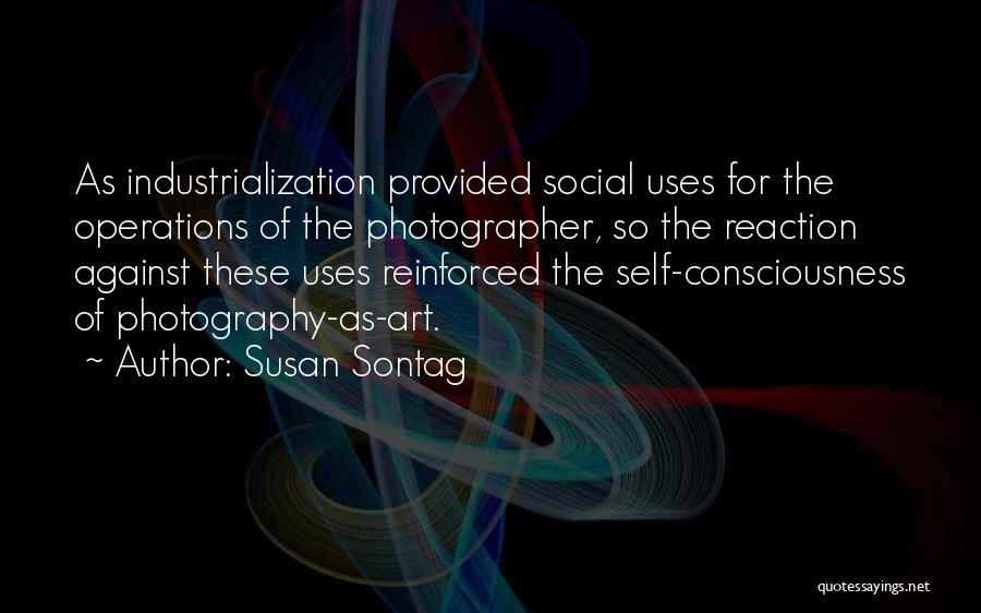 Photography Art Quotes By Susan Sontag