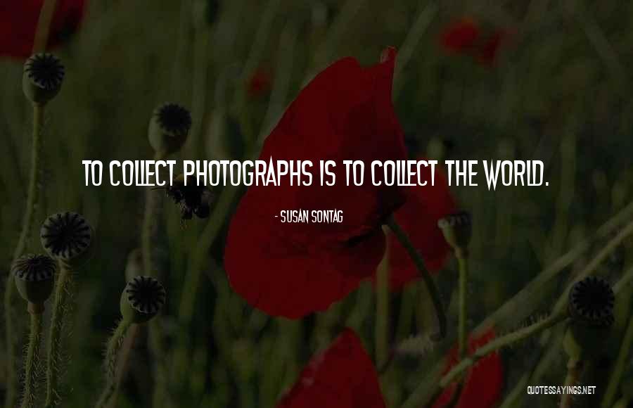Photography Is Quotes By Susan Sontag Photography Is Quotes By Susan Sontag
