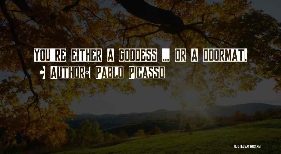 Photography Landscape Quotes By Pablo Picasso
