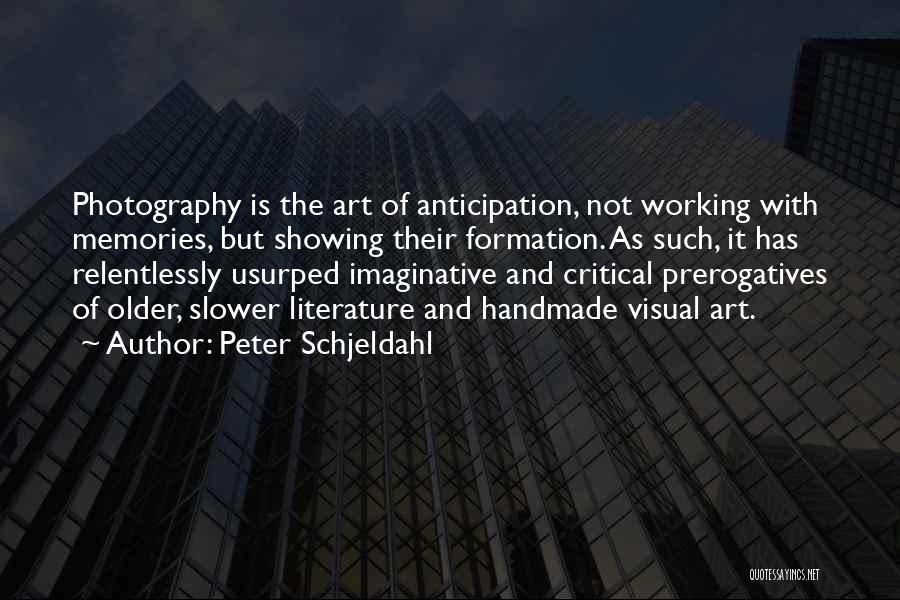 Photography Memories Quotes By Peter Schjeldahl