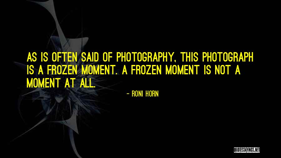 Photography Moments Quotes By Roni Horn