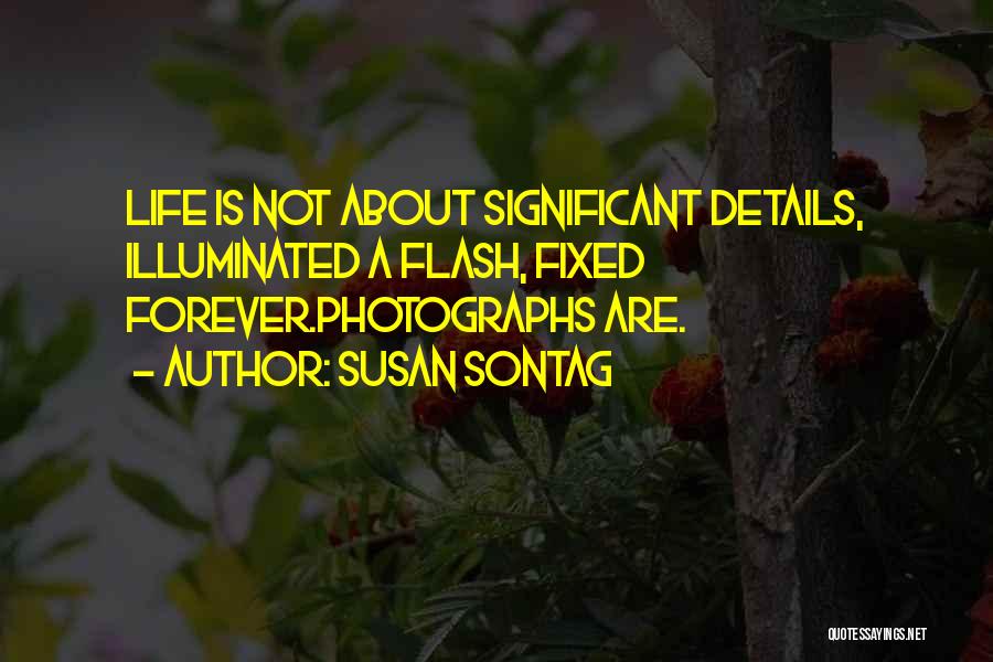 Photography Moments Quotes By Susan Sontag