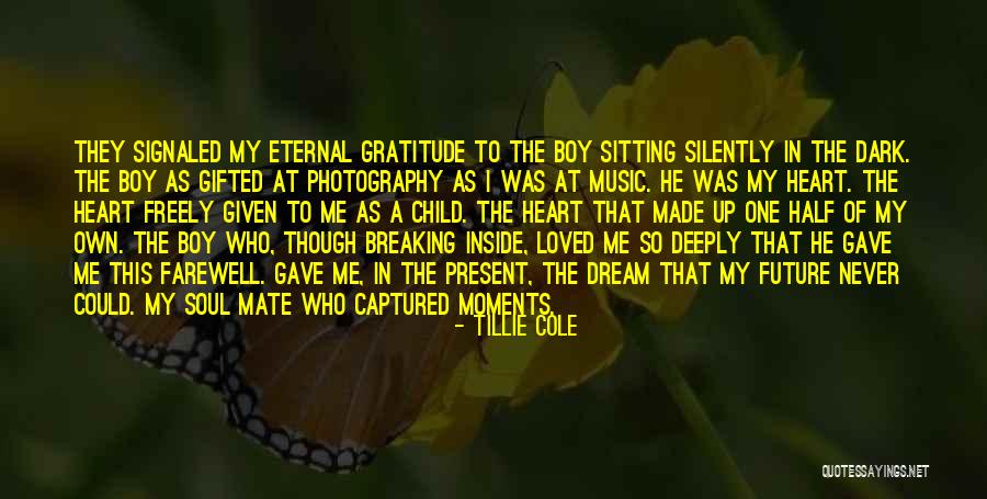 Photography Moments Quotes By Tillie Cole