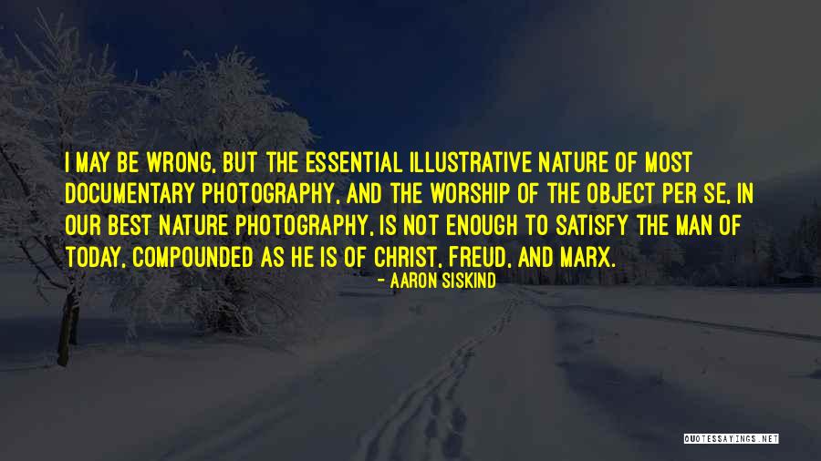 Photography Nature Quotes By Aaron Siskind