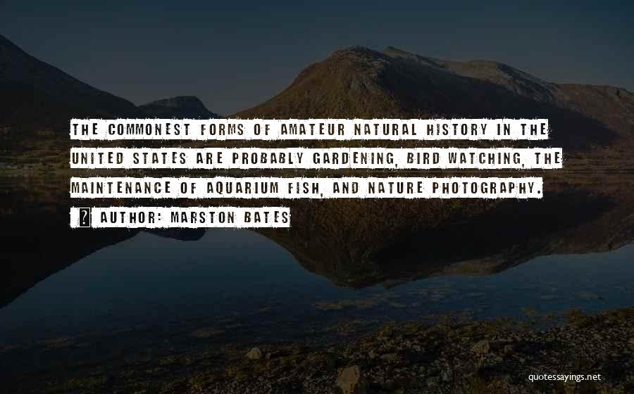 Photography Nature Quotes By Marston Bates