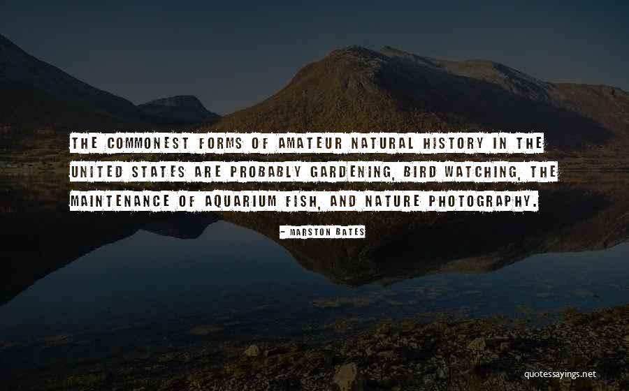 Photography Nature Quotes By Marston Bates