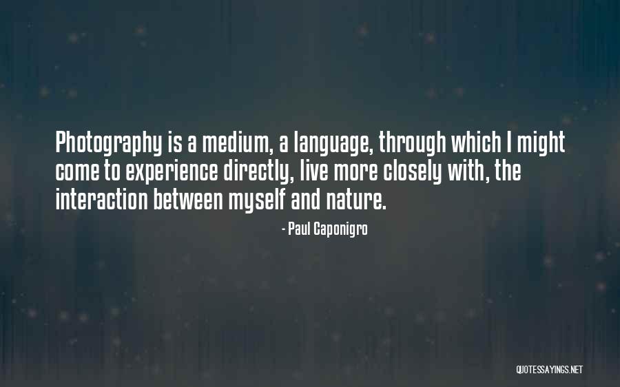 Photography Nature Quotes By Paul Caponigro