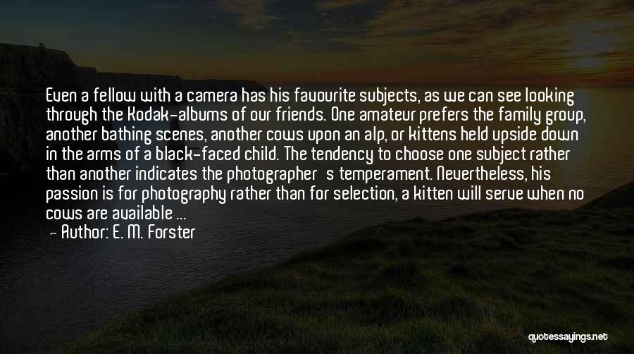 Photography Passion Quotes By E. M. Forster