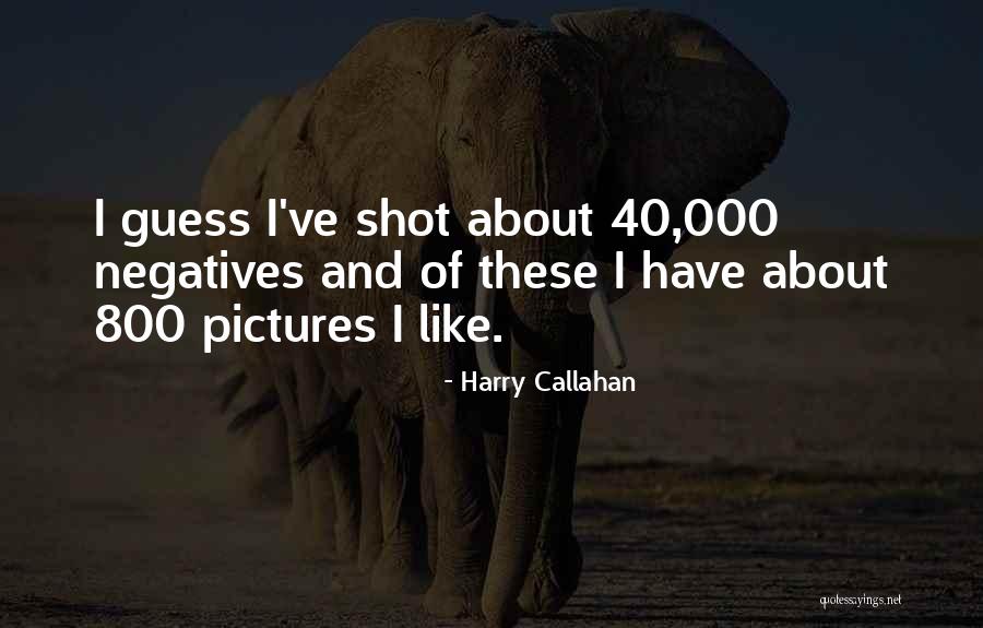 Photography Pictures Quotes By Harry Callahan