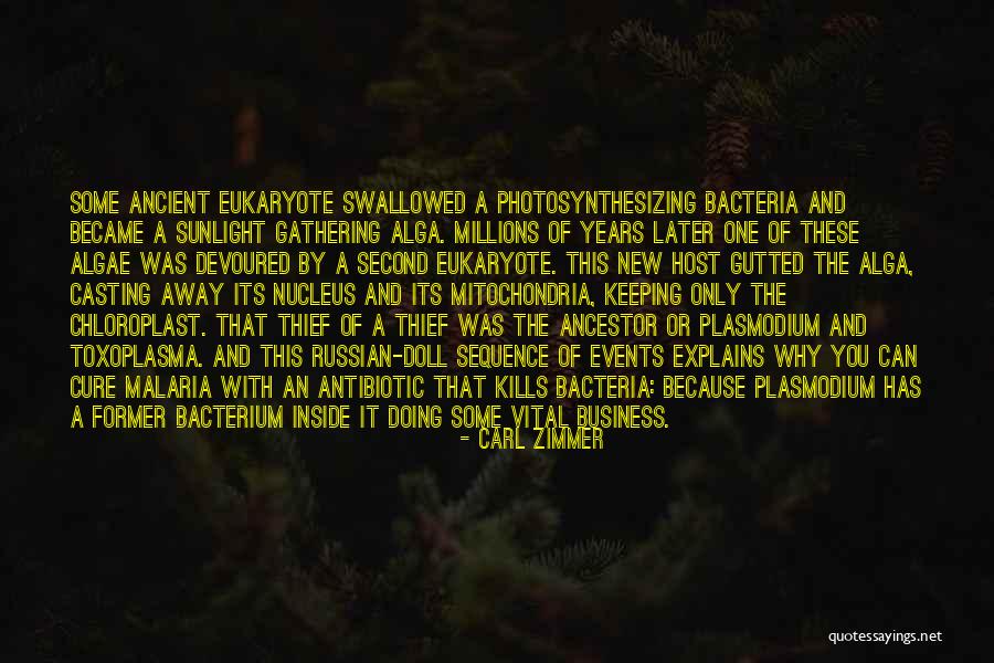 Photosynthesizing Bacteria Quotes By Carl Zimmer Photosynthesizing Bacteria Quotes By Carl Zimmer