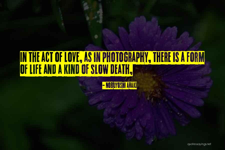 Phototoxicity Essential Oils Quotes By Nobuyoshi Araki Phototoxicity Essential Oils Quotes By Nobuyoshi Araki