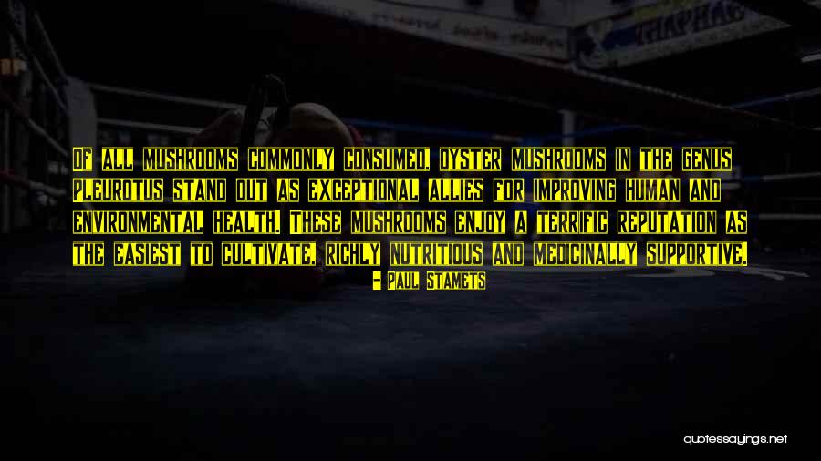 Php Encoding Curly Quotes By Paul Stamets Php Encoding Curly Quotes By Paul Stamets