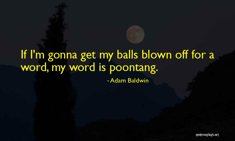 Php Mysql Double Quotes By Adam Baldwin Php Mysql Double Quotes By Adam Baldwin