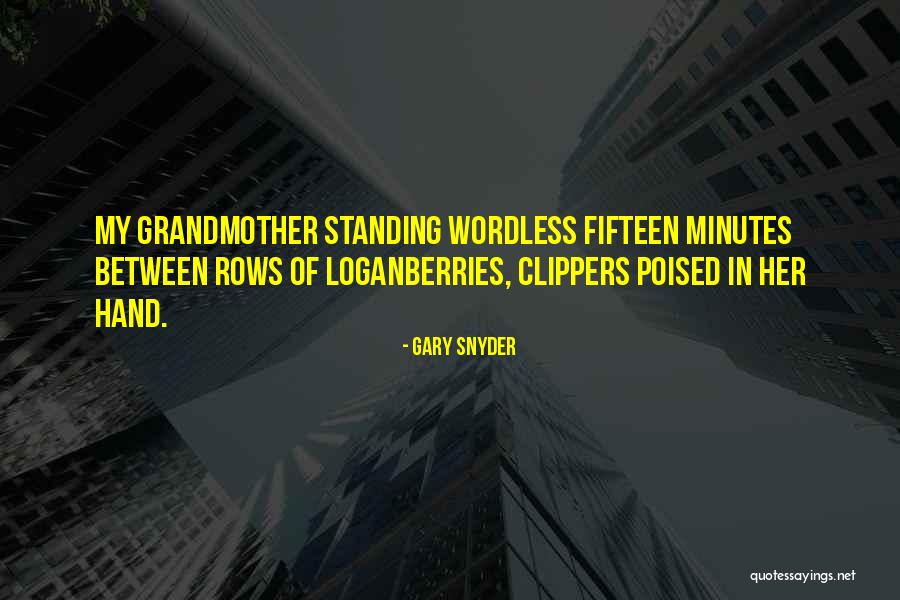 Php Preg_split Csv Quotes By Gary Snyder Php Preg_split Csv Quotes By Gary Snyder