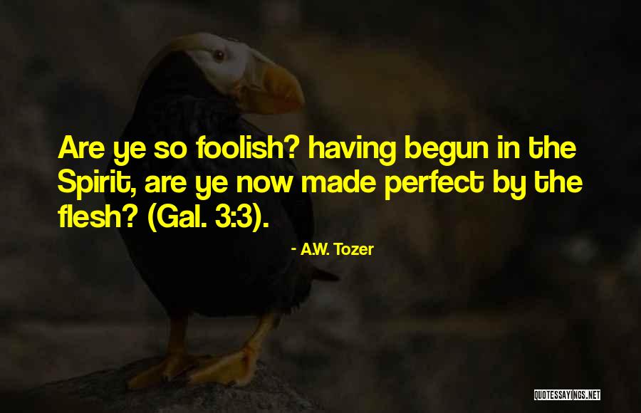 Php Split String Quotes By A.W. Tozer Php Split String Quotes By A.W. Tozer