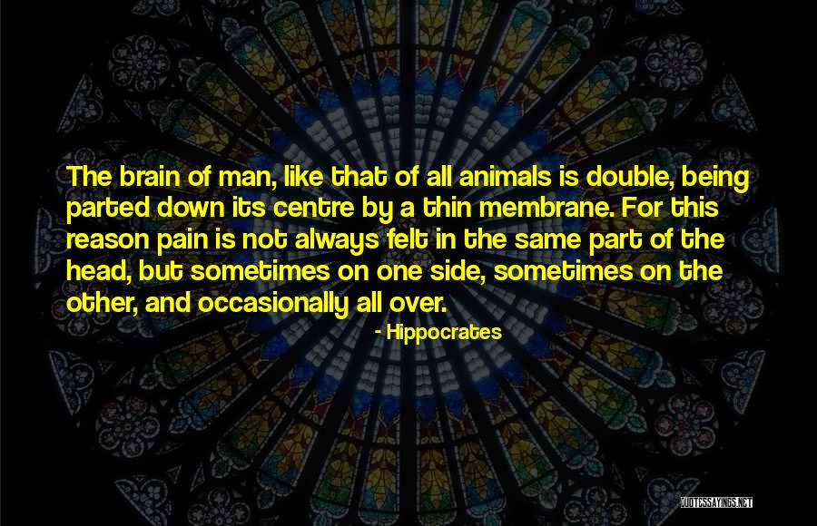 Php Textarea Quotes By Hippocrates Php Textarea Quotes By Hippocrates