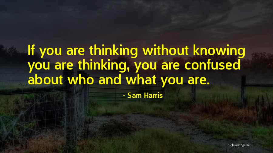 Phraseology Synonym Quotes By Sam Harris Phraseology Synonym Quotes By Sam Harris