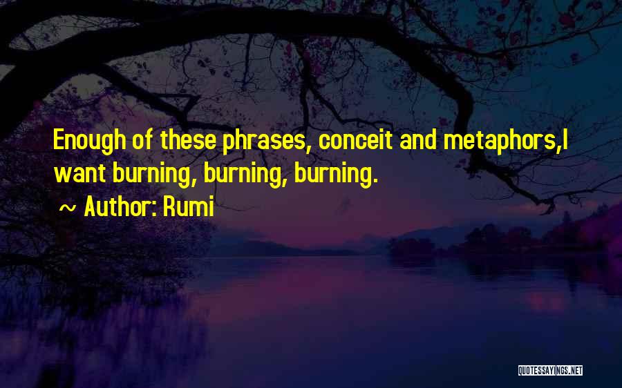 Phrases Inspirational Quotes By Rumi