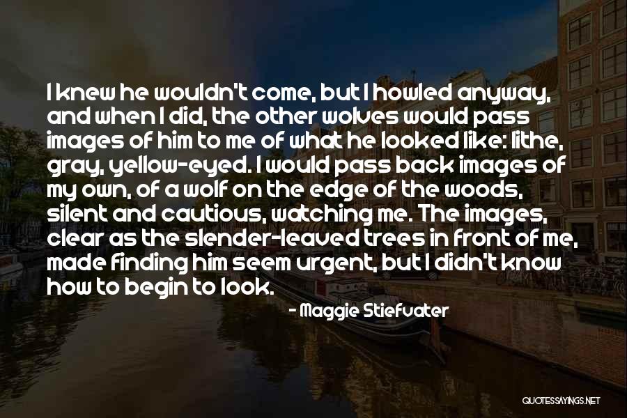 Phronesis Philosophy Quotes By Maggie Stiefvater Phronesis Philosophy Quotes By Maggie Stiefvater