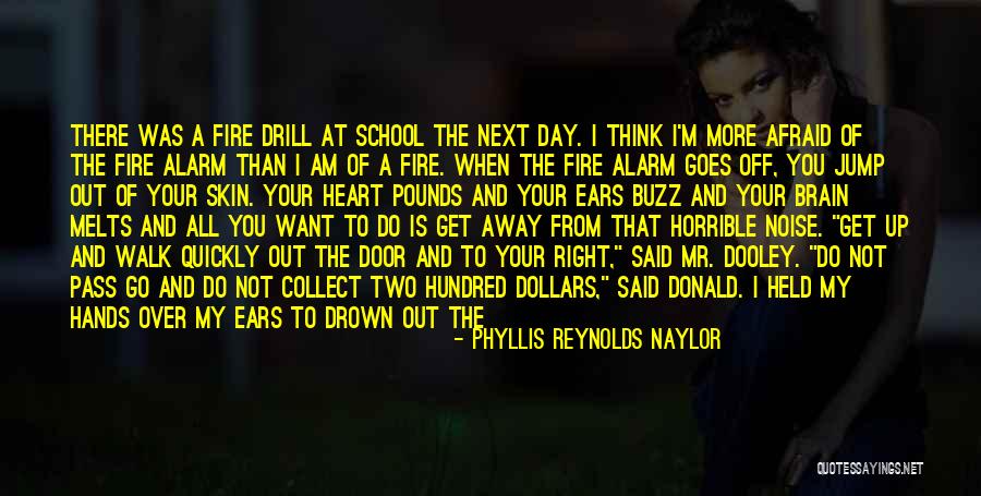 Phyllis Reynolds Naylor Quotes 442799