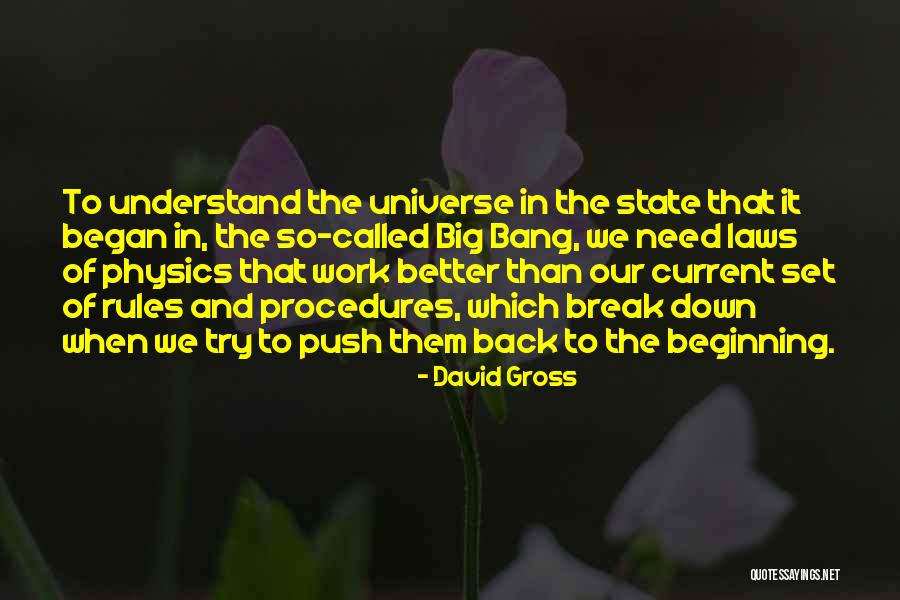 Phylogenesis Origin Quotes By David Gross Phylogenesis Origin Quotes By David Gross