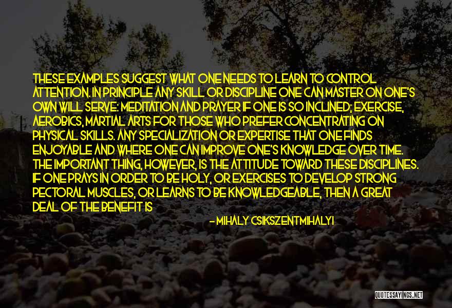 Physical Exercise Quotes By Mihaly Csikszentmihalyi Physical Exercise Quotes By Mihaly Csikszentmihalyi