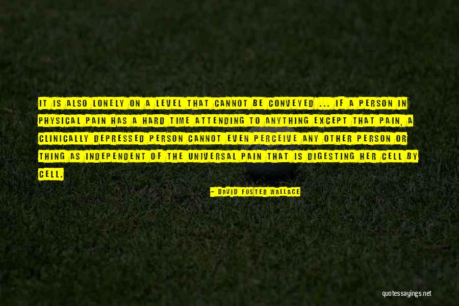 Physical Pain And Depression Quotes By David Foster Wallace Physical Pain And Depression Quotes By David Foster Wallace