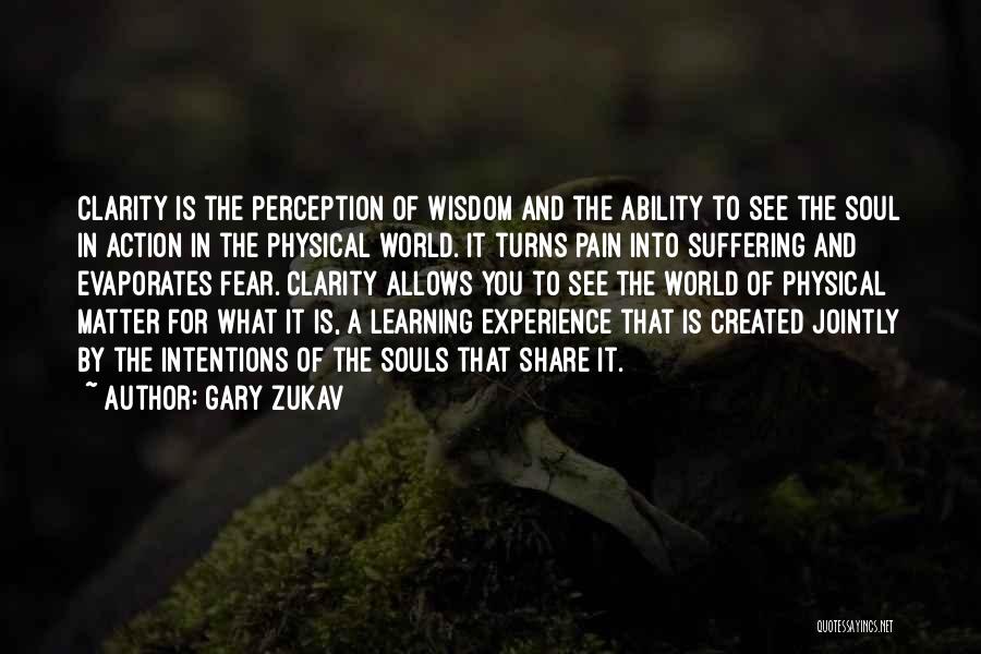 Physical Pain And Suffering Quotes By Gary Zukav