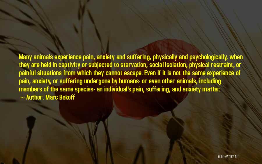 Physical Pain And Suffering Quotes By Marc Bekoff