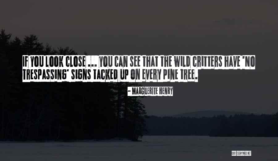 Physicalities Quotes By Marguerite Henry Physicalities Quotes By Marguerite Henry