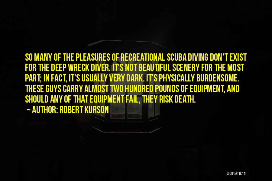 Physically Beautiful Quotes By Robert Kurson