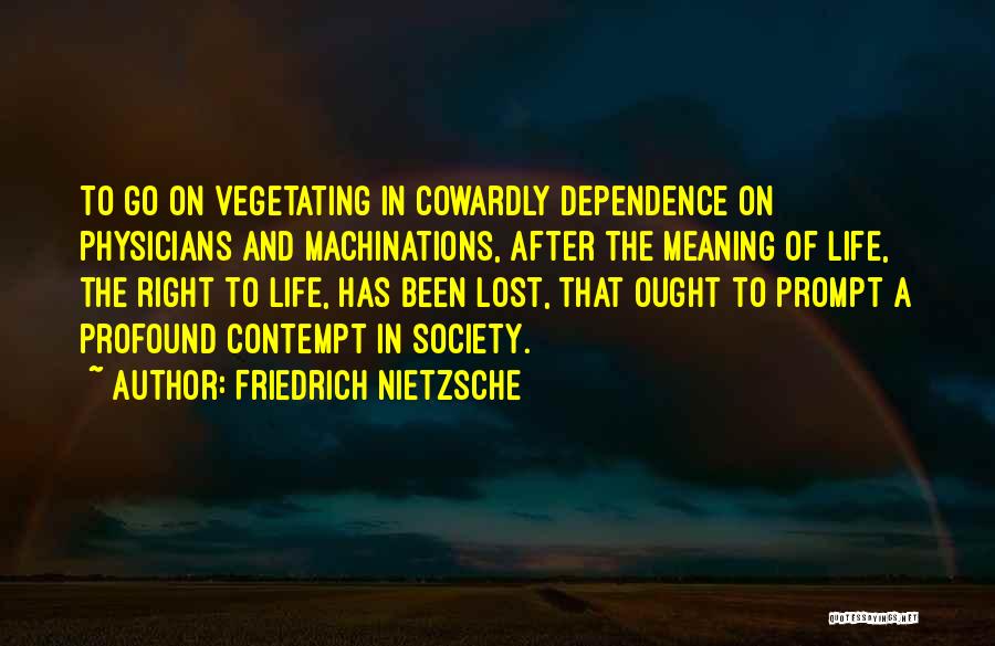 Physicians Quotes By Friedrich Nietzsche