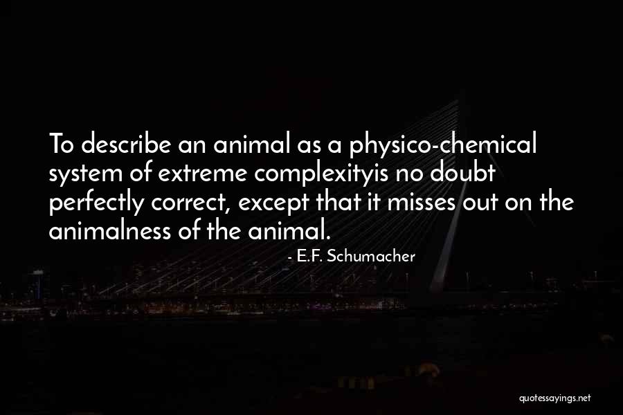Physico Quotes By E.F. Schumacher Physico Quotes By E.F. Schumacher