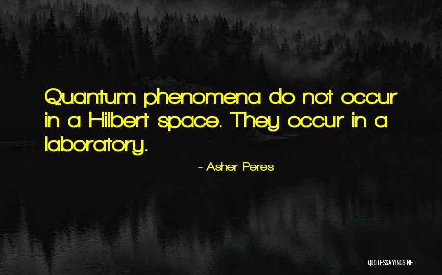 Physics Laboratory Quotes By Asher Peres