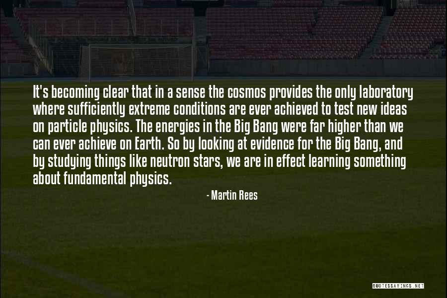 Physics Laboratory Quotes By Martin Rees