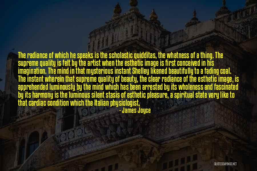 Physiologist Quotes By James Joyce Physiologist Quotes By James Joyce