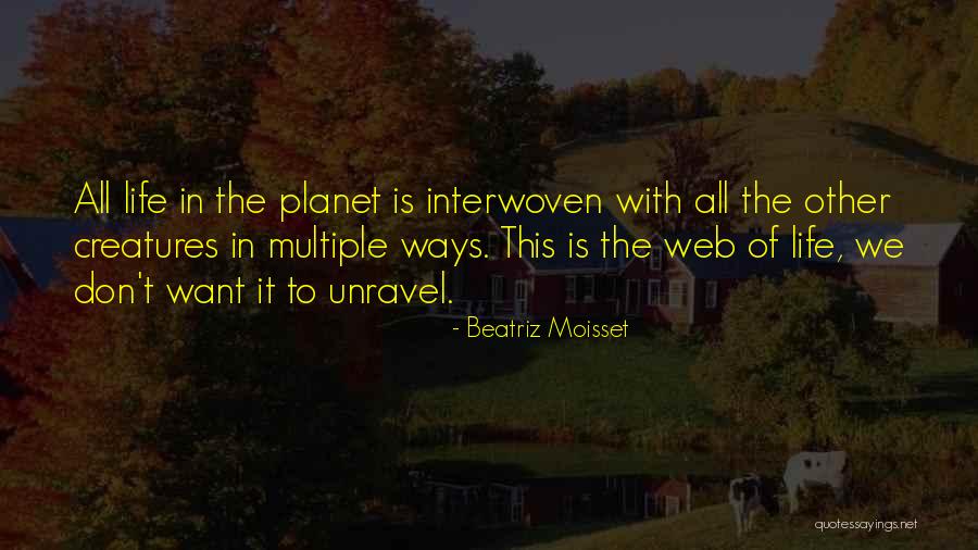 Piaci Verseny Quotes By Beatriz Moisset Piaci Verseny Quotes By Beatriz Moisset