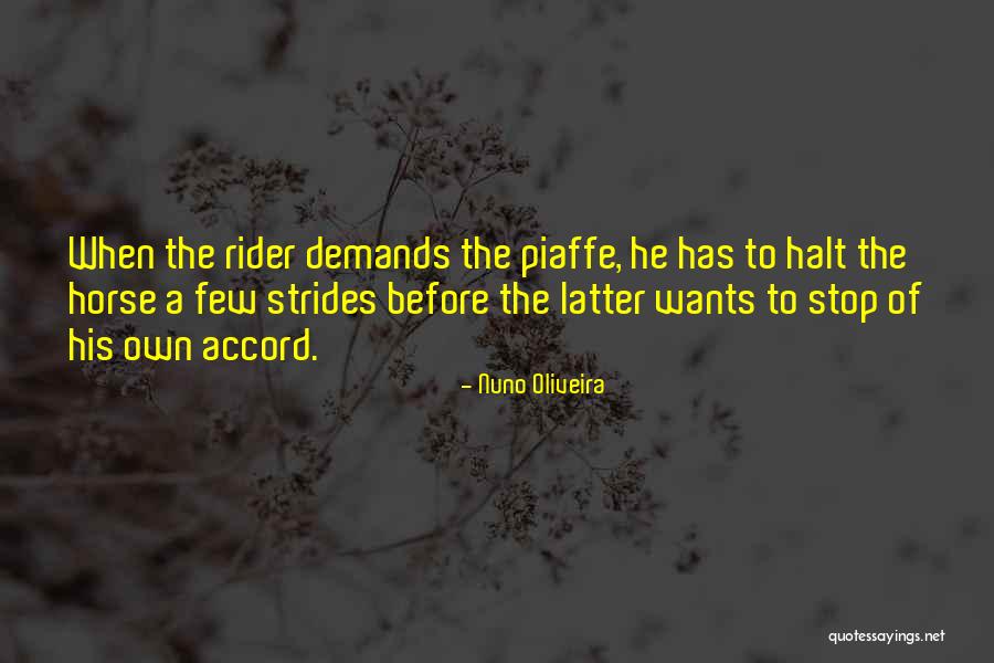 Piaffe Horse Quotes By Nuno Oliveira