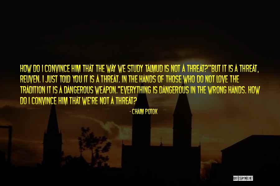 Piaget Constructivism Quotes By Chaim Potok