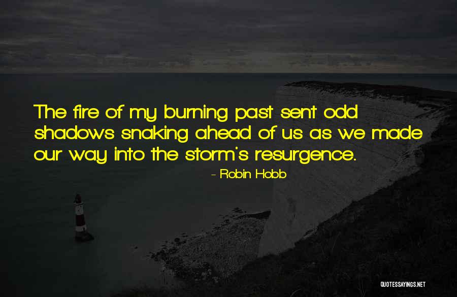 Piaget Constructivism Quotes By Robin Hobb