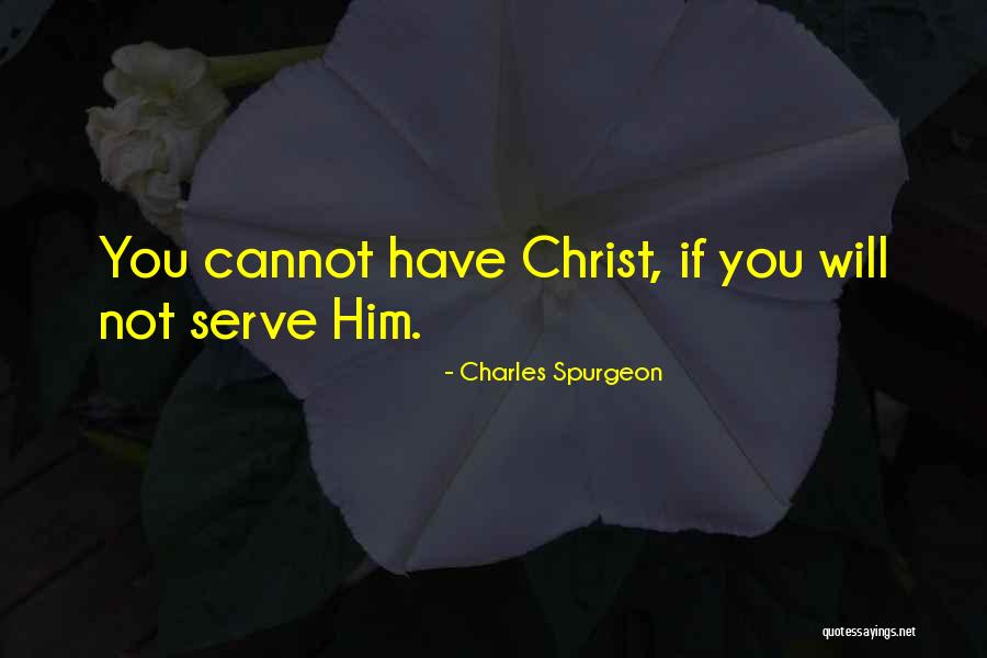 Piagets Cognitive Development Theory Quotes By Charles Spurgeon
