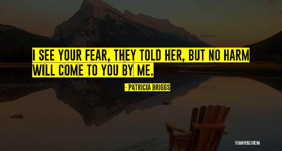 Piatonna Quotes By Patricia Briggs Piatonna Quotes By Patricia Briggs