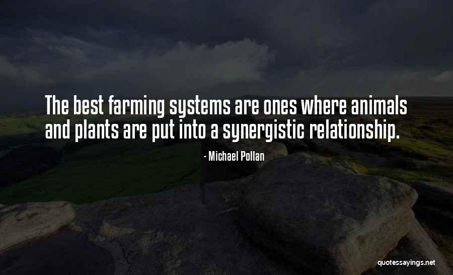 Piattelli Vineyards Quotes By Michael Pollan Piattelli Vineyards Quotes By Michael Pollan